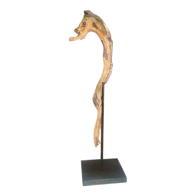 Seahorse Driftwood Art For Sale