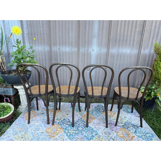 French Country 1970s Set of Four Thonet-Style Bentwood and Cane Bistro Chairs For Sale - Image 3 of 8