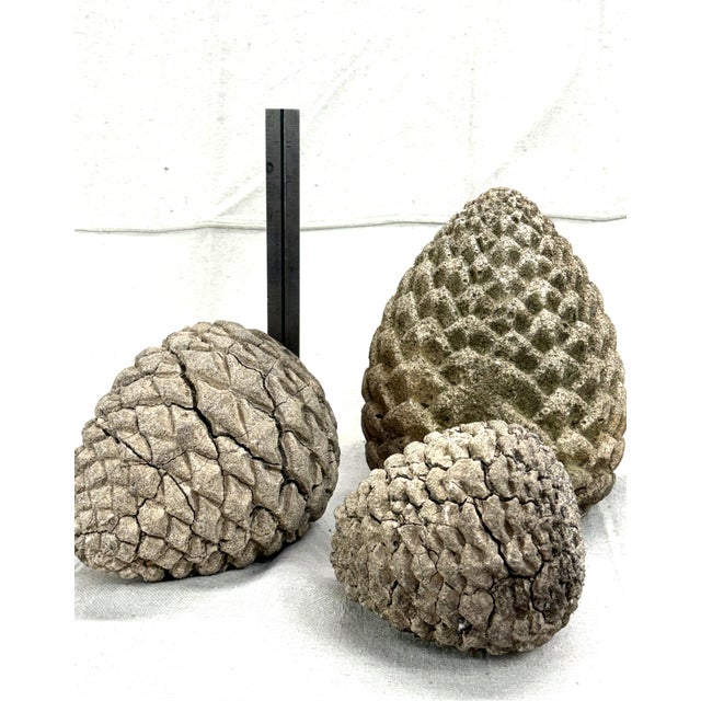 Late 20th Century Concrete Pinecones - A Grouping of Three Garden Sculptures For Sale - Image 4 of 12