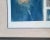 Maidy Morhous 1979 "Genesis" Bird Etching, Framed For Sale In Los Angeles - Image 6 of 10