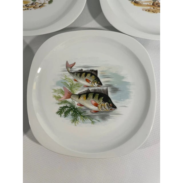 1940s 1940s-50s French Limoges Fish Plates - Set of Five For Sale - Image 5 of 17