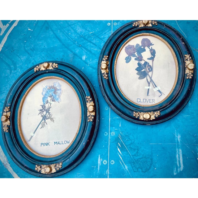 Pair Real Pressed Wildflowers Botanicals Herbarium Specimens 1936 Beautifully Displayed in Pair of 19th Century Frames For Sale - Image 10 of 10