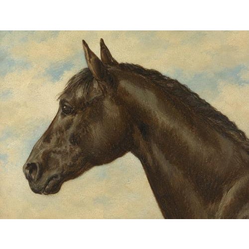 Otto Eerelman, Australian Horse, 1898, Chromolithograph For Sale - Image 3 of 10
