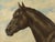 Otto Eerelman, Australian Horse, 1898, Chromolithograph For Sale - Image 3 of 10