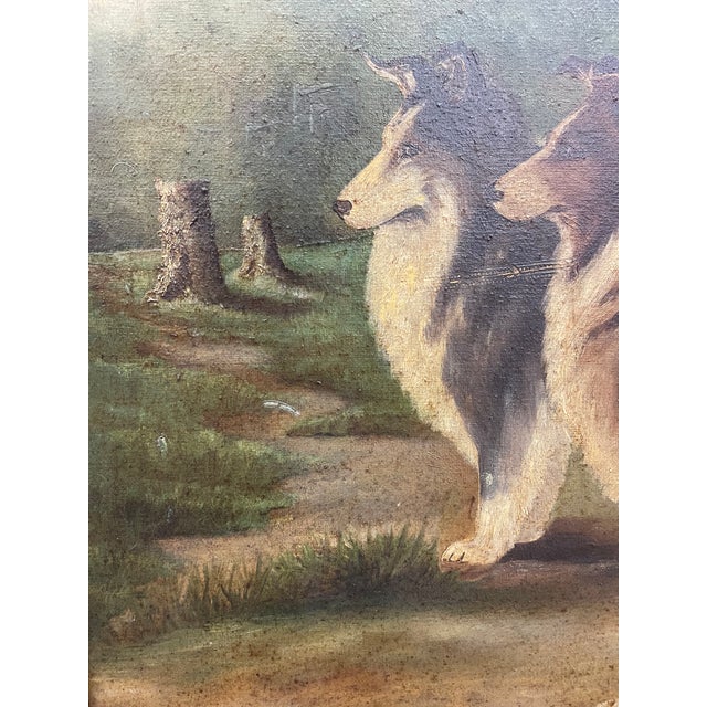 Antique Framed Oil Painting of Two Collie Dogs in Woodland Landscape, Traditional Canine Portrait Possibly 1890s - Unsigned For Sale - Image 9 of 10