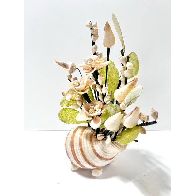 Vintage Shell Sculpture Flower Arrangement in Conch Shell Vase – Mid-Century Coastal Seashell Sculpture For Sale - Image 10 of 11