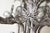 Gold Art Nouveau Handcrafted Metal Silver Wire Chandelier, Italy, 1970s For Sale - Image 8 of 18