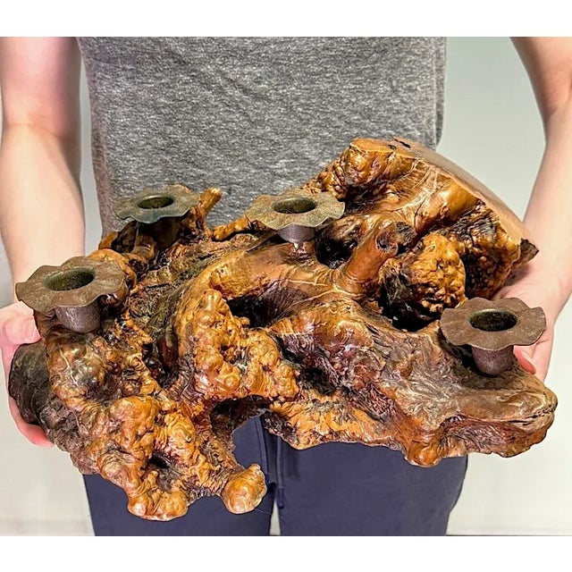 Brown Large Burl Wood Candelabra Table Centerpiece / Candle Holder For Sale - Image 8 of 9