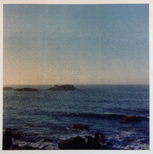 Peter C. Jones 1, Beach Through Screen, Large Format Photo 24X20 Color Photograph Beach House RI, 1999