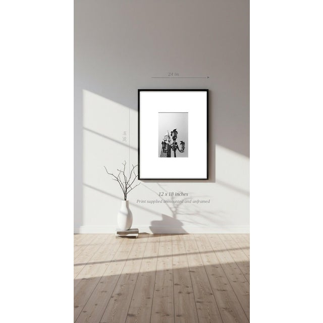 Paul Cooklin, Pigeons, Saint Marks Square, Edition of 50 For Sale - Image 6 of 7