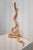 American #276, Floral Snake Sculpture by Paige Barnes Dorsey For Sale - Image 3 of 9