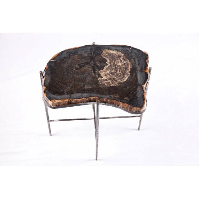 Contemporary Living Edge Petrified Wood Top W Iron Stand Accent Table or Side Table 52 For Sale - Image 3 of 5