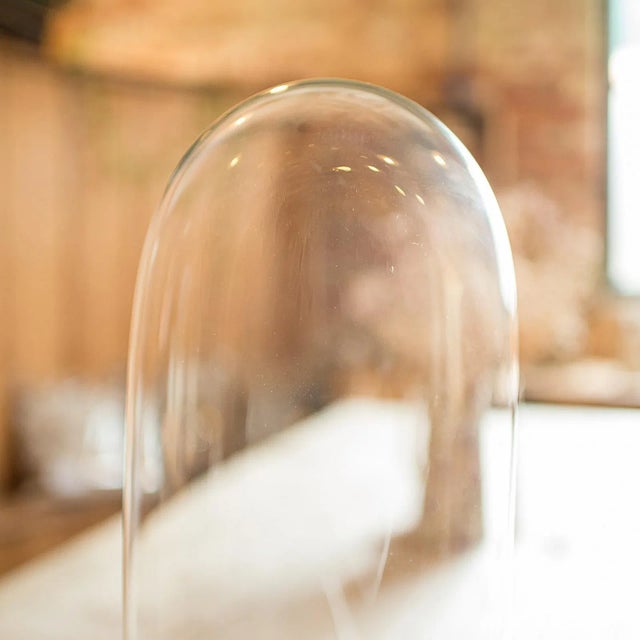 Late 19th Century 1880's Antique Mantel Clock Dome For Sale - Image 5 of 9