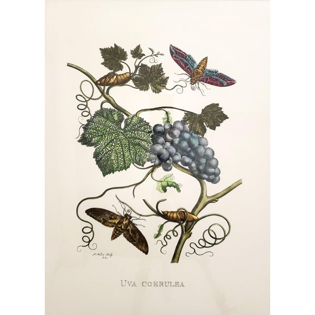 Large Italian Reproduction Print Signed For Sale In Miami - Image 6 of 12