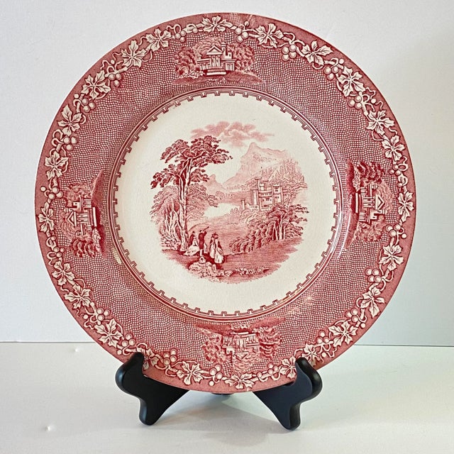 Mid-Century Royal Staffordshire Jenny Lind Pink Dinner Plate For Sale - Image 12 of 12