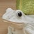 Ceramic Vintage Italian Glazed Ceramic Frog Planter For Sale - Image 7 of 10