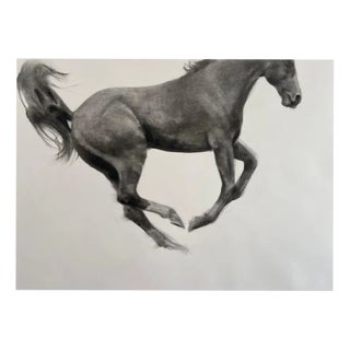 Patsy McArthur, Jumping Horse, 2024, Charcoal on Fabriano Paper, Framed For Sale