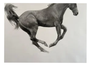Patsy McArthur, Jumping Horse, 2024, Charcoal on Fabriano Paper, Framed