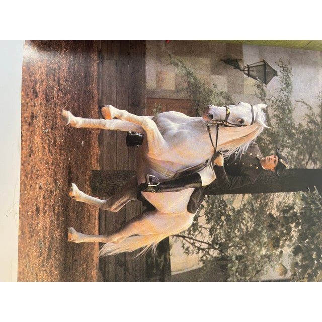 Auburn 1970s The Imperial Horse Book on the History of Lipizaneer For Sale - Image 8 of 8