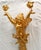 Elegant pair of french gilt bronze wall sconces in the louis xvi revival taste each modelled as a winged cherub with...