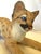Lenox Vintage C1991 Lenox Smithsonian Institution 'Florida Panther Cub' Porcelain Figure For Sale - Image 4 of 13
