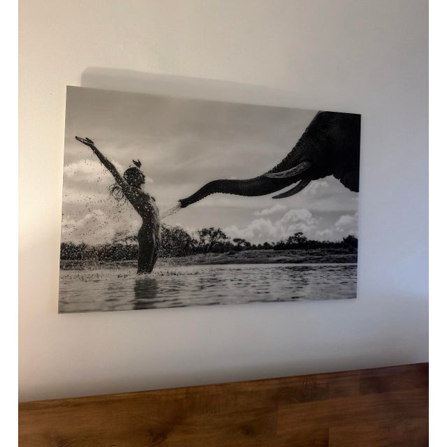 This striking black-and-white piece features an elephant spraying water over a figure, creating a dramatic, contemporary...