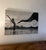 This striking black-and-white piece features an elephant spraying water over a figure, creating a dramatic, contemporary...