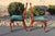 1960s Hickory Chair Mahogany Dining Room Chairs—Set of 6 For Sale - Image 16 of 18