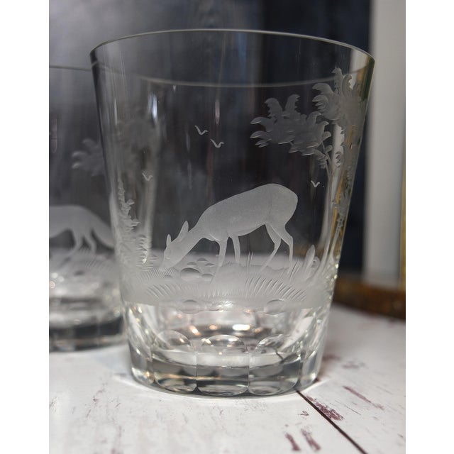 Mid 20th Century American Etched Animal Queen Lace Crystal Double Old Fashioned Glasses - Set of 4 For Sale In Philadelphia - Image 6 of 15