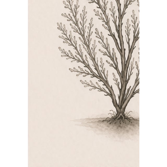 Delicate Coral Study, Minimalist Coastal Botanical Art Print, 24" × 36" Reproduction For Sale In Buffalo - Image 6 of 10