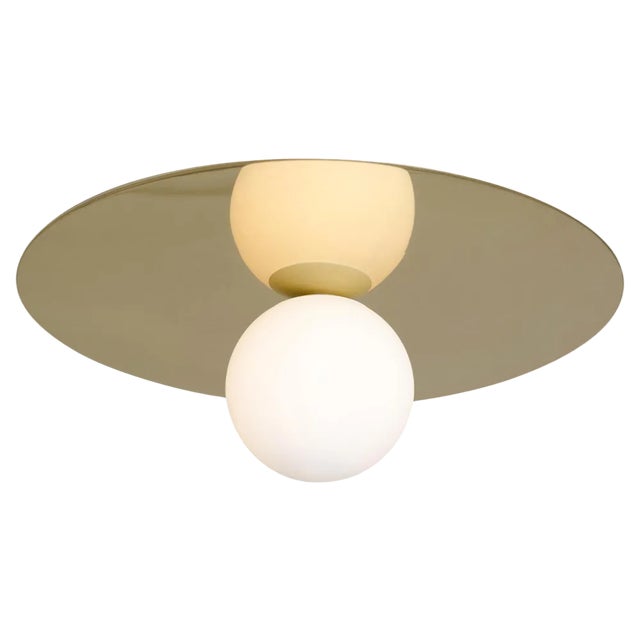 Large Plate and Sphere Ceiling Light by Atelier Areti For Sale