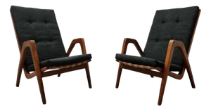 Set of Lounge Chairs by Jan Vanek