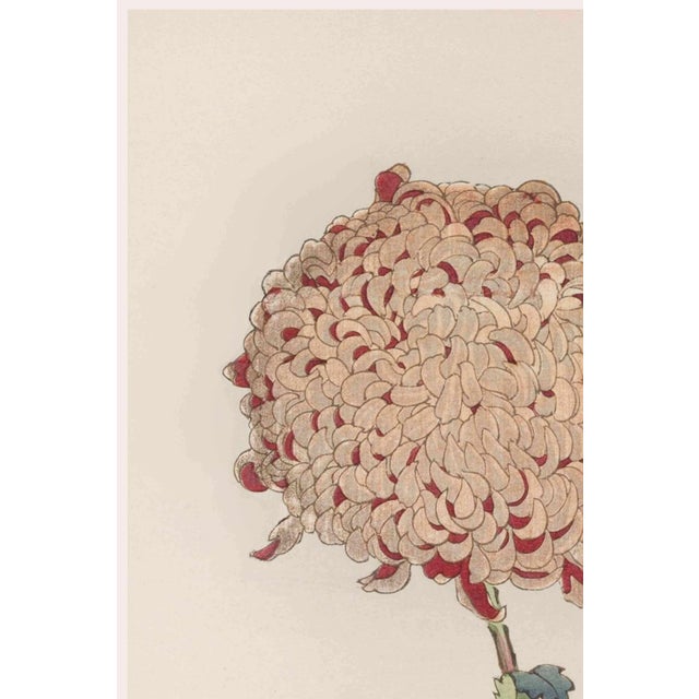 A refined example of late nineteenth-century Japanese botanical illustration, this vintage Japanese botanical art print...