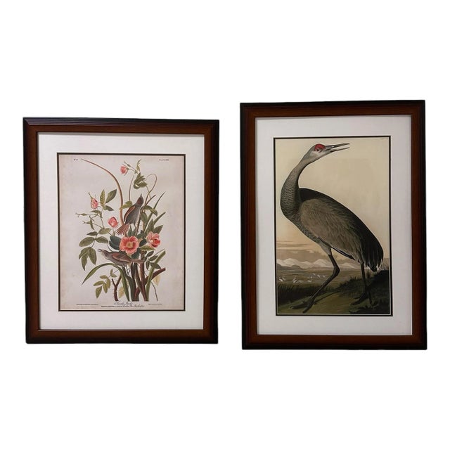 Late 20th Century Pair of Framed Prints After John James Audubon - Seaside Finch and 261 Sandhill Crane For Sale