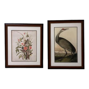 Late 20th Century Pair of Framed Prints After John James Audubon - Seaside Finch and 261 Sandhill Crane