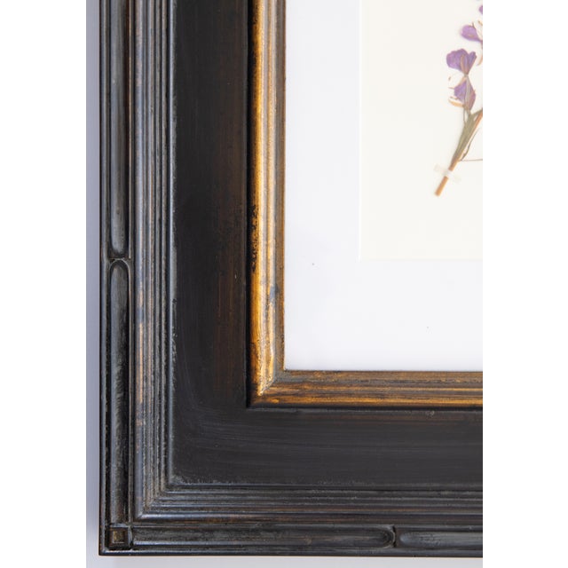 Custom Framed Vintage Finnish Herbarium Botanical Specimens - Set of Four For Sale - Image 14 of 18