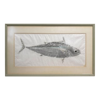 1990s Large Original Tom Uhl Gyotaku Fish Rubbing Bonita Islamorada Florida Keys For Sale