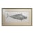 1990s Large Original Tom Uhl Gyotaku Fish Rubbing Bonita Islamorada Florida Keys For Sale