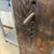 Antique Wooden Carpenter's Bevel Gauge or Angle-Finder Rustic Decor For Sale - Image 10 of 18
