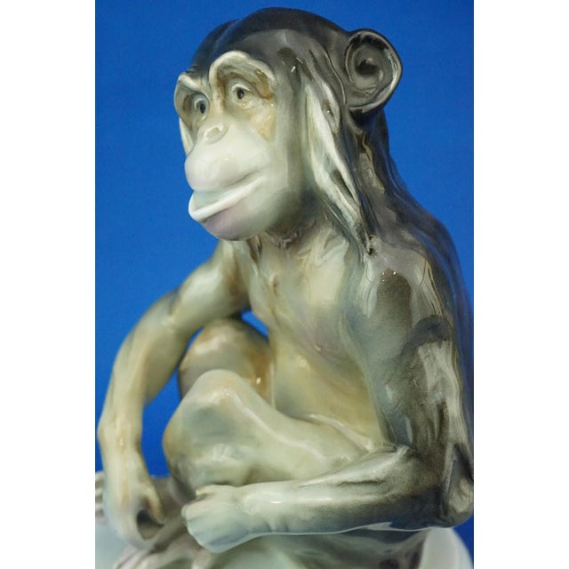 19th Century Porcelain Chimpanzee or Monkey Sculpture from Ernst Bohne & Sohne, Germany For Sale - Image 10 of 18