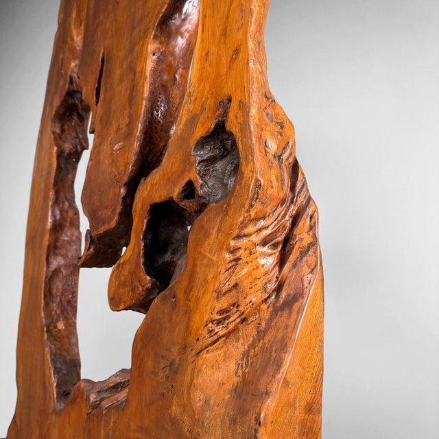 Monumental Japanese Root Wood Sculpture, 1950s For Sale - Image 16 of 18