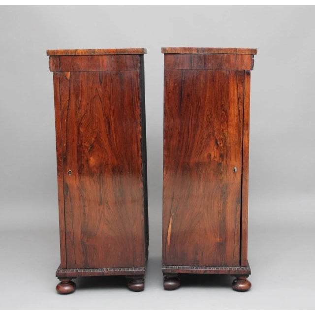 Wood Rosewood Pedestal Cabinets, 1830s, Set of 2 For Sale - Image 7 of 14