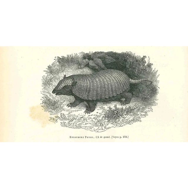 Encoubert Poyou is an original lithograph on ivory-colored paper, realized by Paul Gervais (1816-1879). The artwork is...