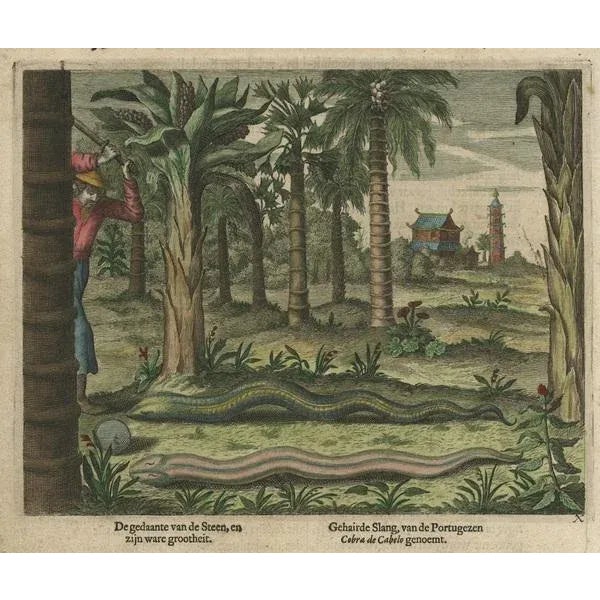 Chinese Snakes with Temple and Pagoda, 1660, Paper For Sale - Image 3 of 5