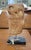 Mid Century Modern Stone Owl Sculpture For Sale In Philadelphia - Image 6 of 9