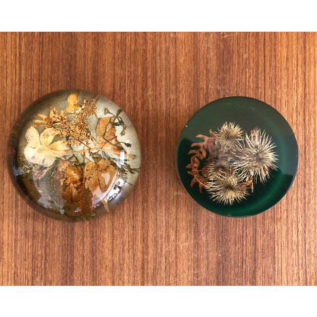 Contemporary Autumnal Vintage Paperweights - a Pair For Sale - Image 3 of 11