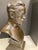 Antique Bronze Bust of Louis Pasteur For Sale - Image 10 of 11