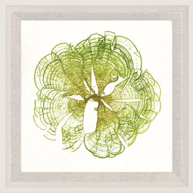 Contemporary Bradbury Seaweeds 01, Framed Artwork For Sale - Image 3 of 3