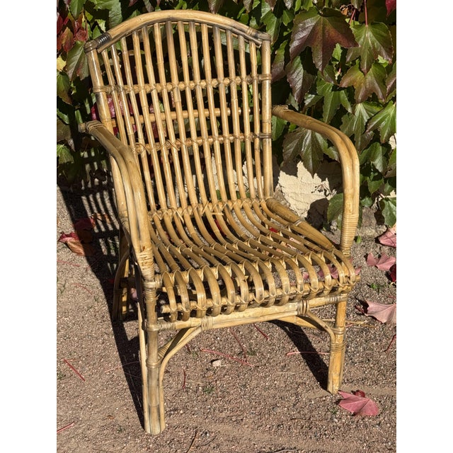 1970s Vintage Armchairs in Rattan, 1970s, Set of 3 For Sale - Image 5 of 9