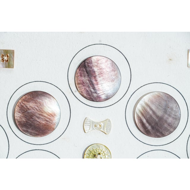 Fascinating Collection of Framed Mother of Pearl Antique Buttons Clothing Fashion For Sale - Image 9 of 14